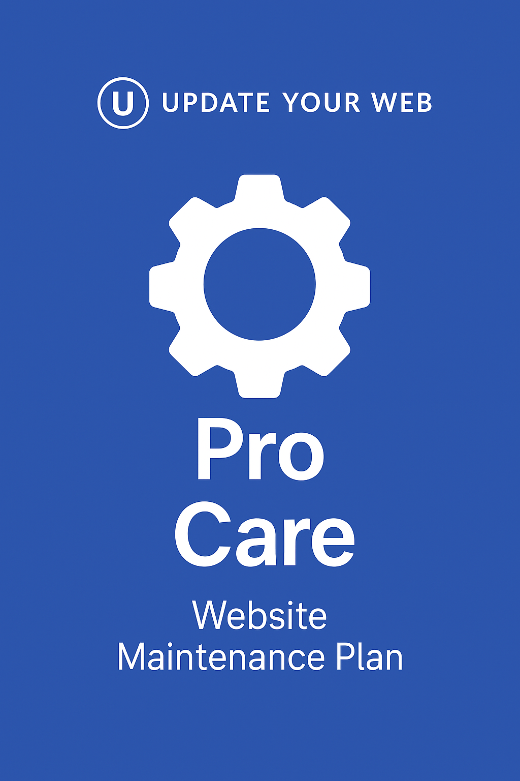Pro Care – Website Maintenance Plan